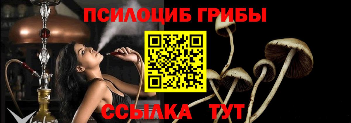 Галлюциногенные грибы GOLDEN TEACHER Белорецк